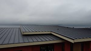 Best Rubber Roofing (EPDM, TPO)  in Edinboro, PA